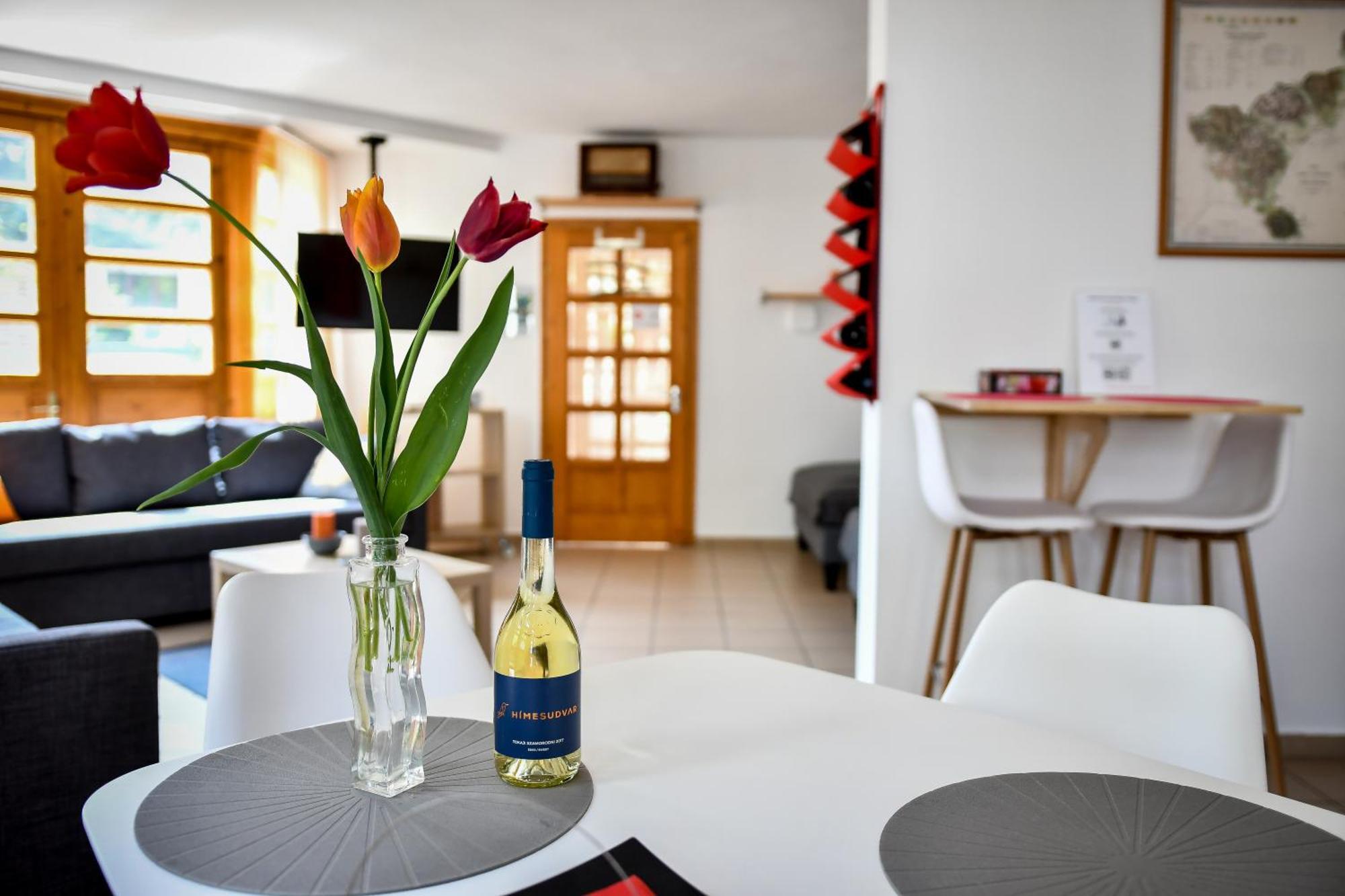 Boralom Studio Apartman Tokaj Luaran gambar
